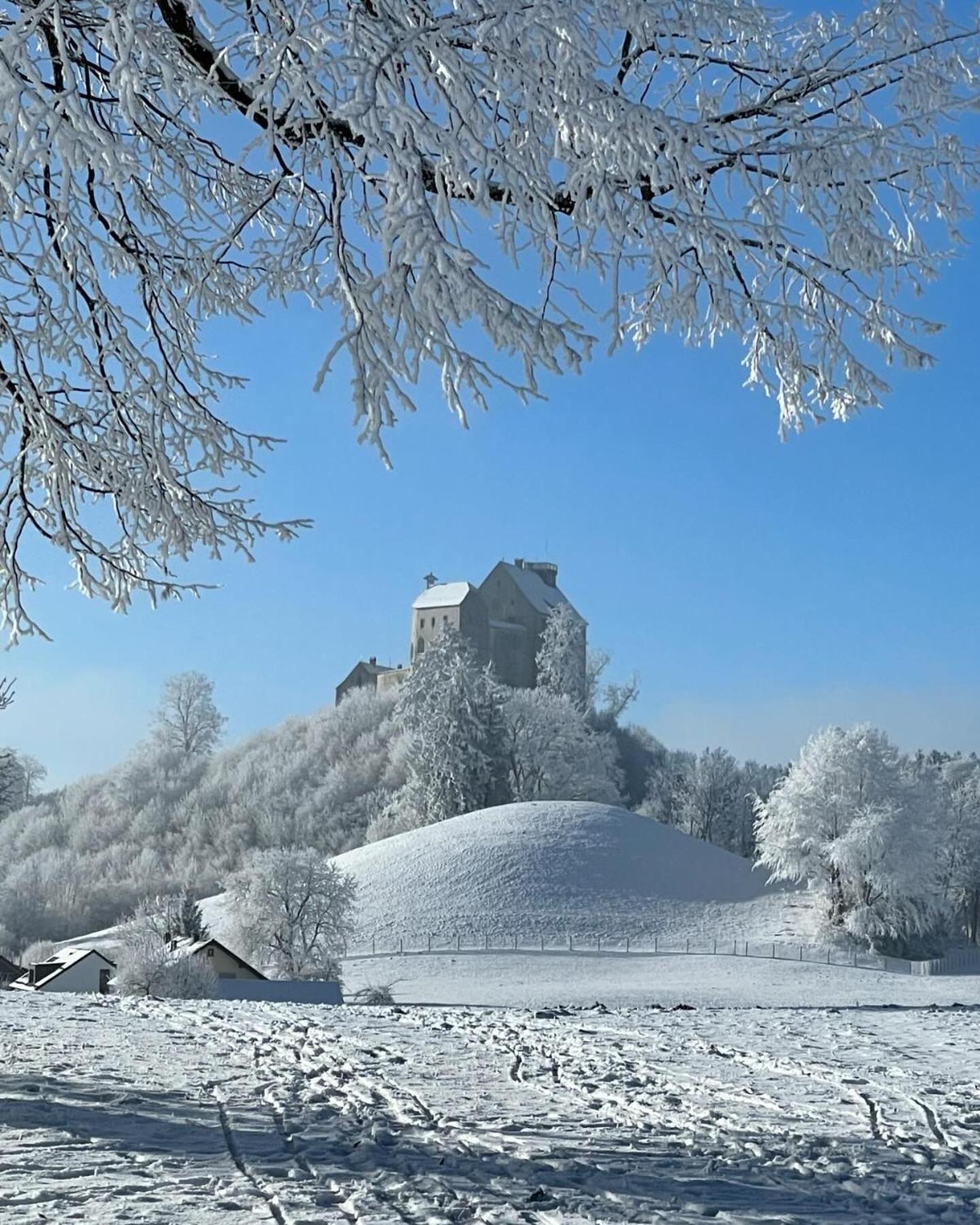 Am Kohlenberg Apartment Waldburg Екстериор снимка